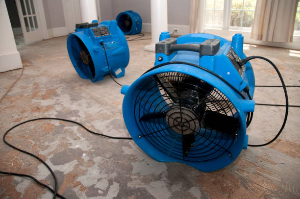 Best Water damage restoration process  in South Bay, FL