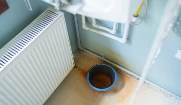 Best Water damage restoration company  in South Bay, FL