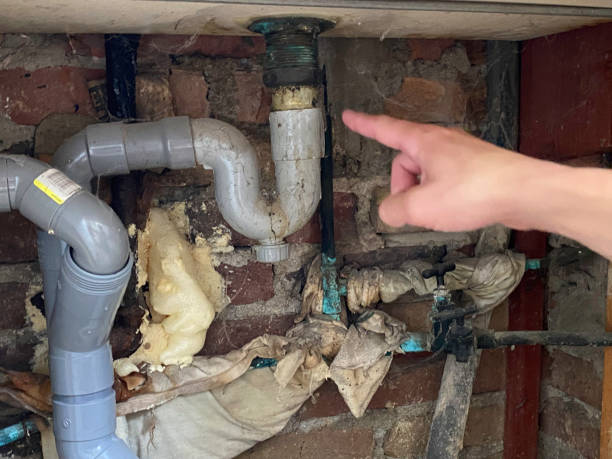 Best Mold removal after water damage  in South Bay, FL