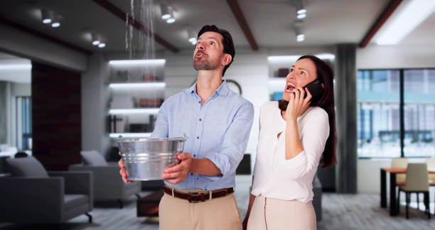 Best Flood restoration services  in South Bay, FL