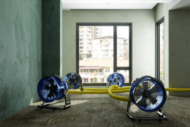 Best Commercial water damage restoration  in South Bay, FL